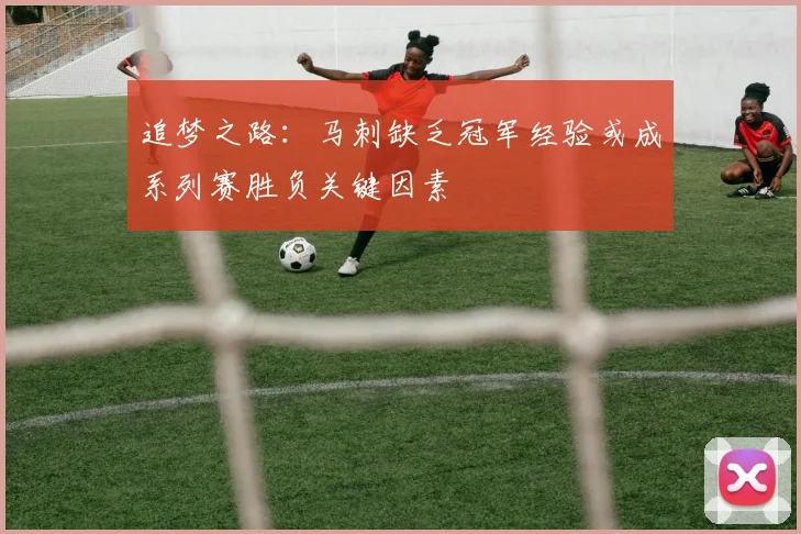 追梦之路：马刺缺乏冠军经验或成系列赛胜负关键因素