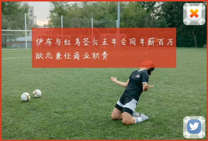 伊布与红鸟签订五年合同年薪百万欧元兼任商业职责